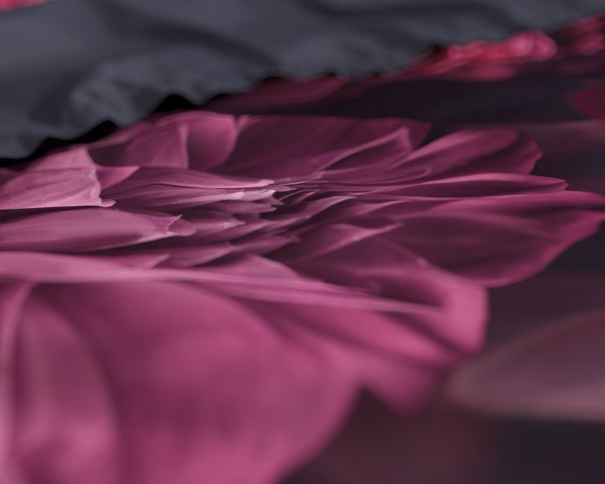 100% Cotton Sateen Duvet Cover Set Canberra | Red | Single - 140cm (W) x 220cm (L) - The Bedding & Blankets Store