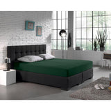 Double Jersey 220 GSM Soft Cotton Fitted Sheet | Botancal Green | Single 80/100 x 220cm (L) x 40cm (D) - The Bedding & Blankets Store