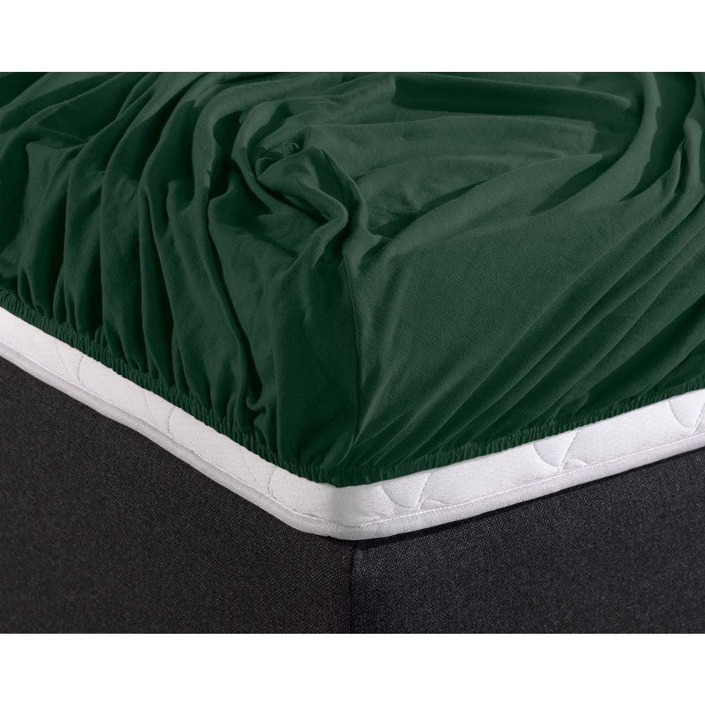 Double Jersey 220 GSM Soft Cotton Fitted Sheet | Botancal Green | Single 80/100 x 220cm (L) x 40cm (D) - The Bedding & Blankets Store