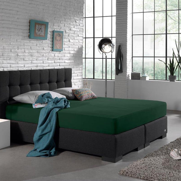 Double Jersey 220 GSM Soft Cotton Fitted Sheet | Botancal Green | Single 80/100 x 220cm (L) x 40cm (D) - The Bedding & Blankets Store