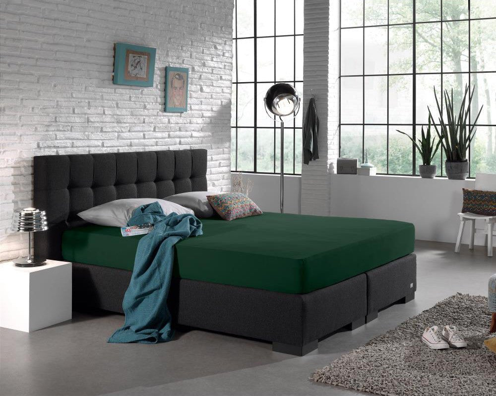 Double Jersey 220 GSM Soft Cotton Fitted Sheet | Botancal Green | Single 80/100 x 220cm (L) x 40cm (D) - The Bedding & Blankets Store