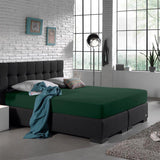 Double Jersey 220 GSM Soft Cotton Fitted Sheet | Botancal Green | Single 80/100 x 220cm (L) x 40cm (D) - The Bedding & Blankets Store