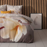 Super Soft Microfibre Duvet Cover Set Isaline | Multicolour | Single - 140cm (W) x 220cm (L) - The Bedding & Blankets Store